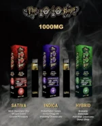 Shop 1010 Boys 1G Disposable Online