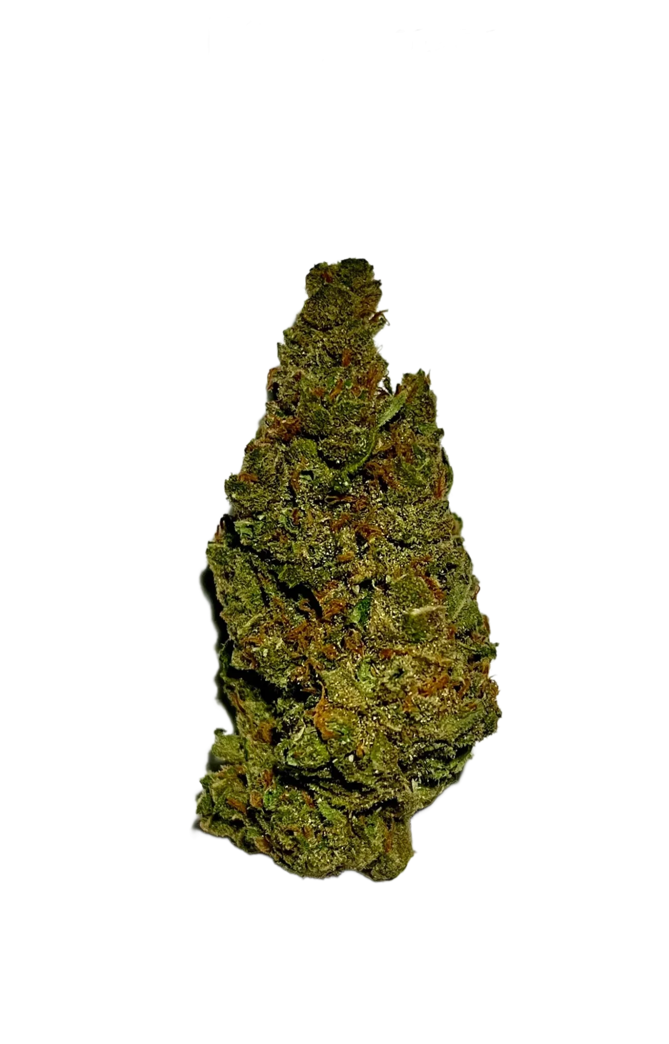 amnesia-1314x2048